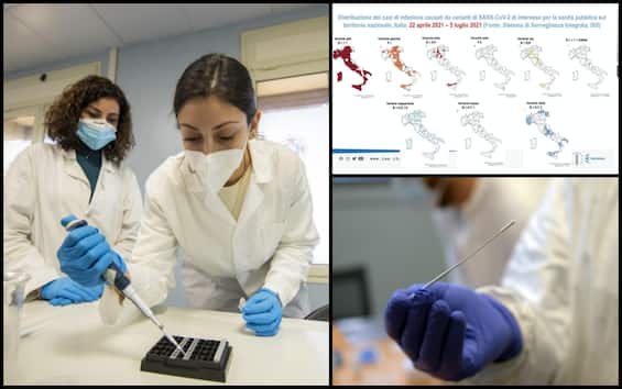 Covid, dalla variante Delta alla Epsilon: vaccino, diffusione in Italia